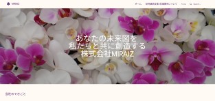 MIRAIZの公式HPスクショ